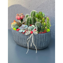 ÖZEL CANLI TERARYUM